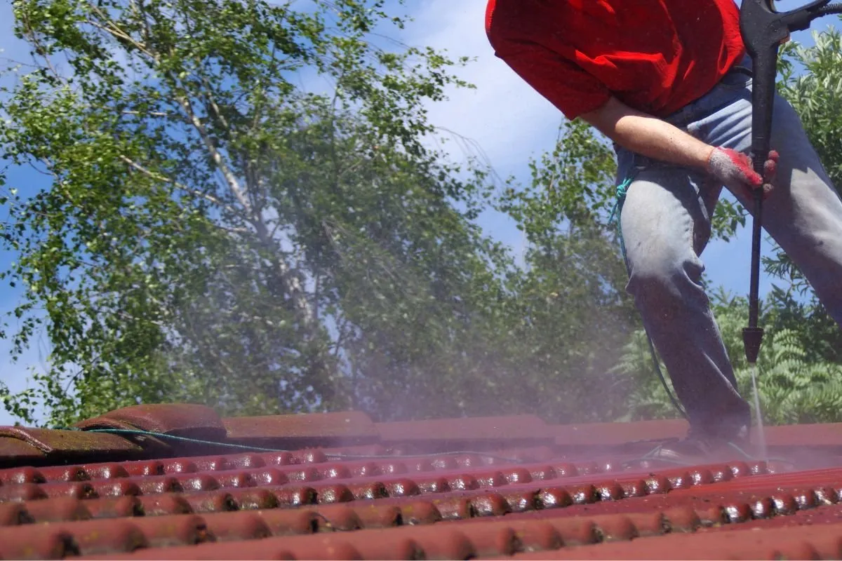 Tile Roof Cleaning Sydney North Shore