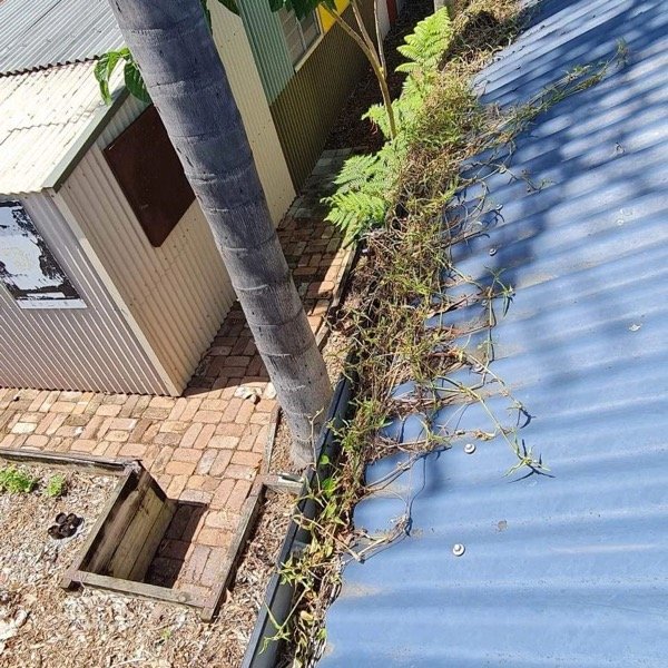 Gutter Cleaning - Surface Preparation in Sydney North Shore
