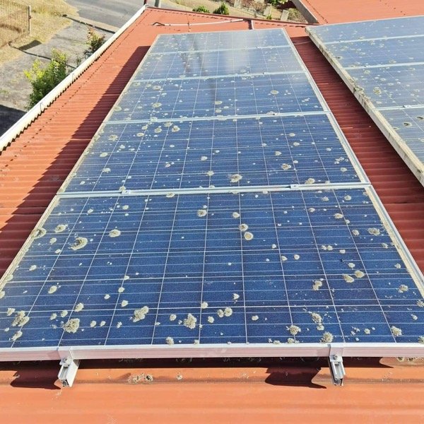 Solar Panel Cleaning - Final Inspection & Cleanup in Sydney North Shore